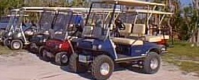 Golf cart rentals